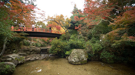 もみじ歩道1