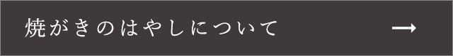 焼がきのはやしについて