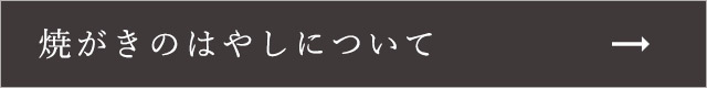 焼がきのはやしについて